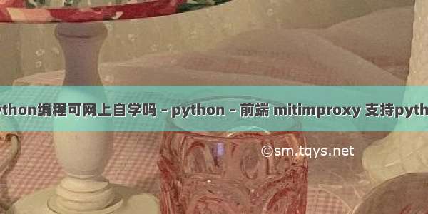 Python编程可网上自学吗 – python – 前端 mitimproxy 支持python