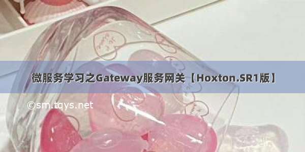 微服务学习之Gateway服务网关【Hoxton.SR1版】