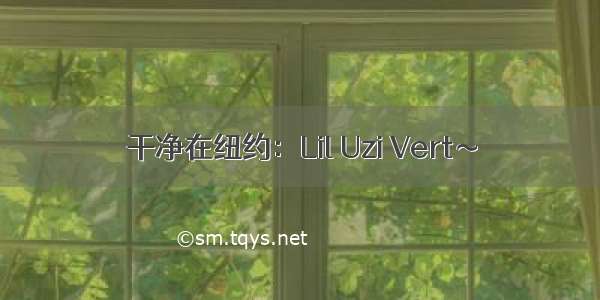 干净在纽约：Lil Uzi Vert～