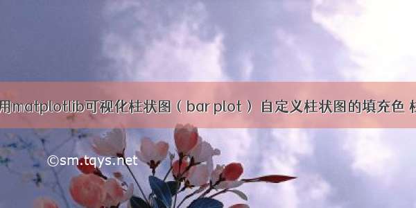 python使用matplotlib可视化柱状图（bar plot） 自定义柱状图的填充色 柱状图柱体