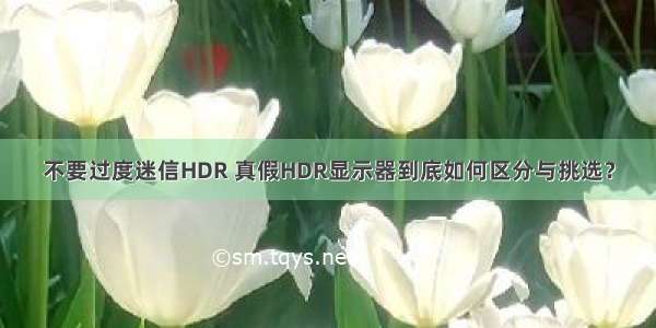 不要过度迷信HDR 真假HDR显示器到底如何区分与挑选？