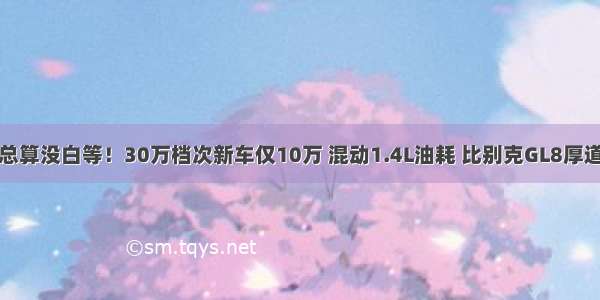 总算没白等！30万档次新车仅10万 混动1.4L油耗 比别克GL8厚道