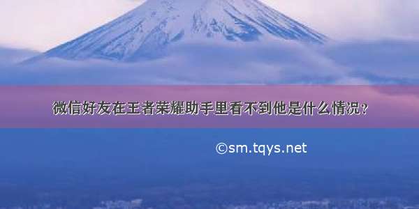 微信好友在王者荣耀助手里看不到他是什么情况？