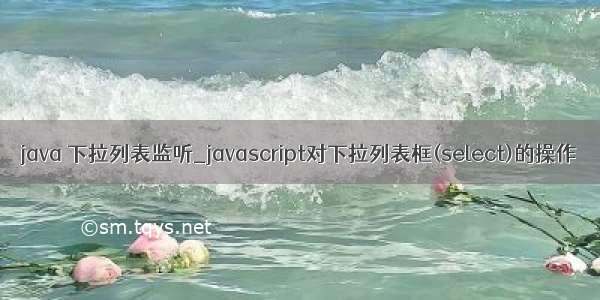 java 下拉列表监听_javascript对下拉列表框(select)的操作