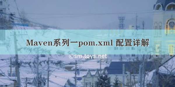 Maven系列一pom.xml 配置详解