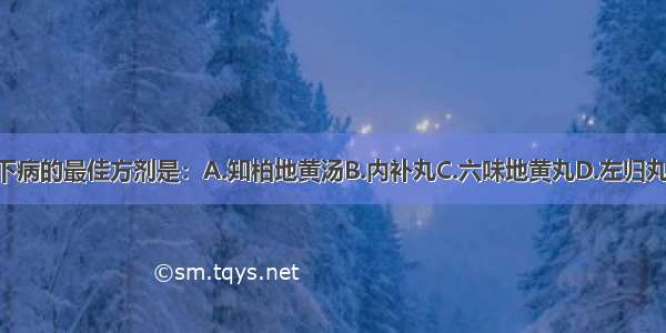 治疗肾阴虚型带下病的最佳方剂是：A.知柏地黄汤B.内补丸C.六味地黄丸D.左归丸E.左归饮ABCDE