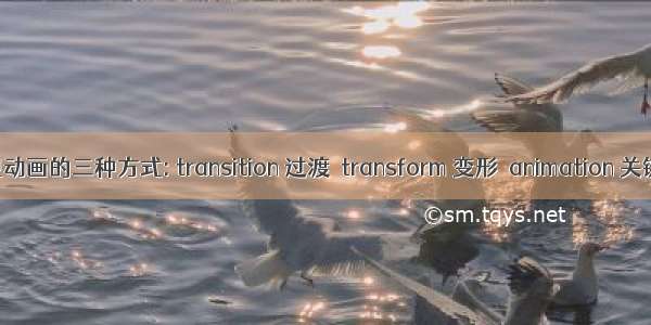 css 实现动画的三种方式: transition 过渡  transform 变形  animation 关键帧动画