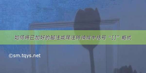 如何将已加好的脚注或尾注转换成中括号“[]”格式