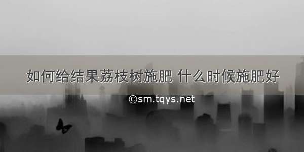 如何给结果荔枝树施肥 什么时候施肥好