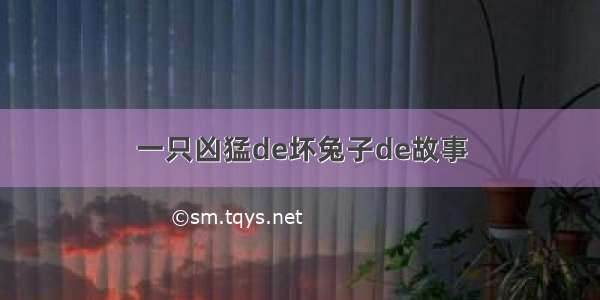 一只凶猛de坏兔子de故事