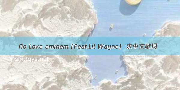 No Love eminem (Feat.Lil Wayne)  求中文歌词