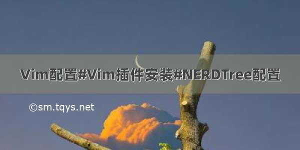Vim配置#Vim插件安装#NERDTree配置