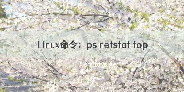 Linux命令：ps netstat top
