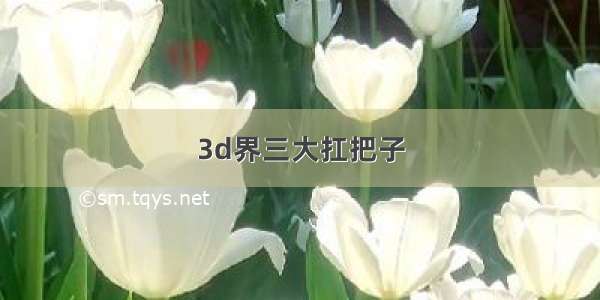 3d界三大扛把子