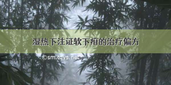 湿热下注证软下疳的治疗偏方