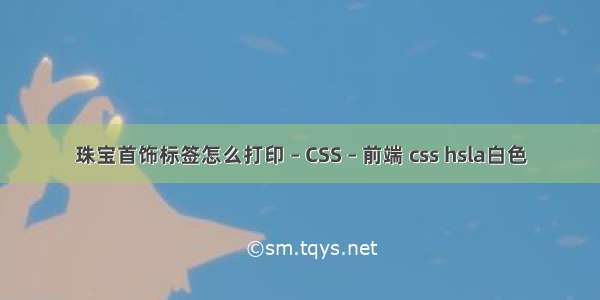 珠宝首饰标签怎么打印 – CSS – 前端 css hsla白色