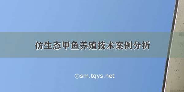 仿生态甲鱼养殖技术案例分析