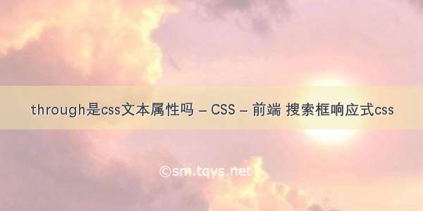 through是css文本属性吗 – CSS – 前端 搜索框响应式css