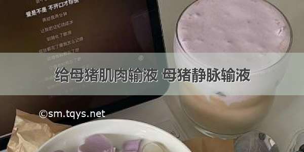 给母猪肌肉输液 母猪静脉输液