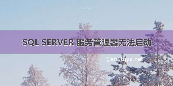 SQL SERVER 服务管理器无法启动