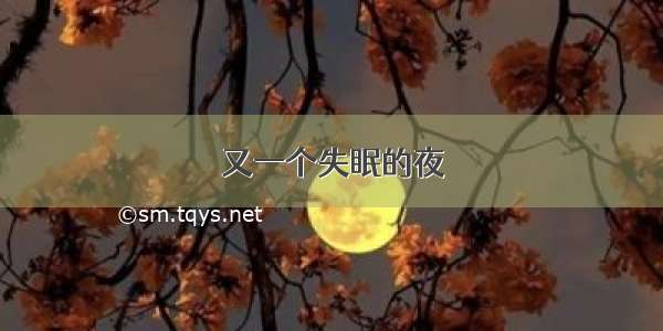 又一个失眠的夜