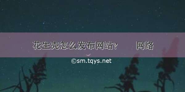 花生壳怎么发布网站？ – 网络