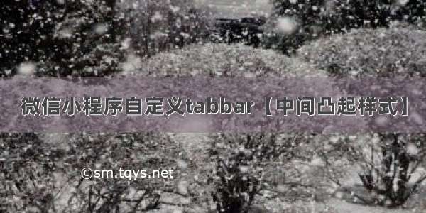 微信小程序自定义tabbar【中间凸起样式】