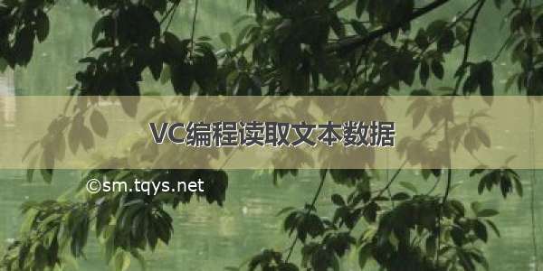 VC编程读取文本数据