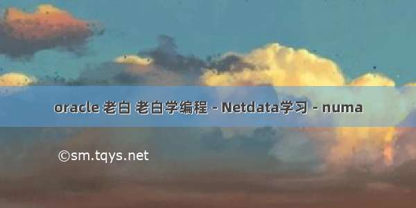 oracle 老白 老白学编程 - Netdata学习 - numa