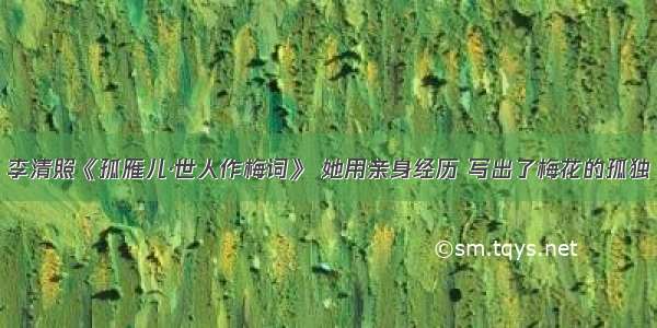 李清照《孤雁儿·世人作梅词》 她用亲身经历 写出了梅花的孤独