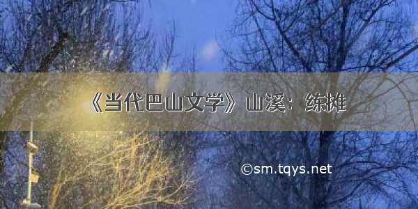 《当代巴山文学》山溪：练摊