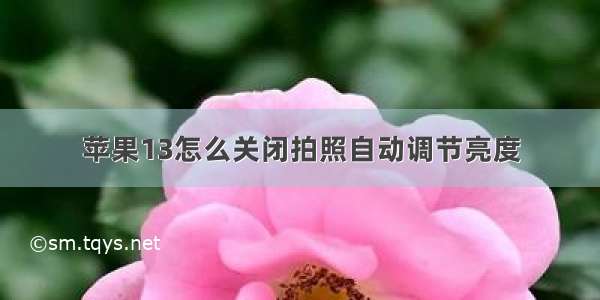 苹果13怎么关闭拍照自动调节亮度