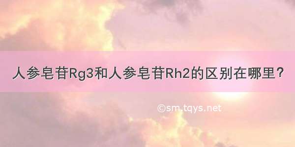 人参皂苷Rg3和人参皂苷Rh2的区别在哪里？