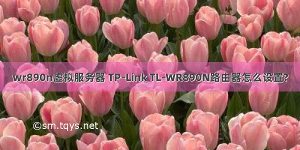 wr890n虚拟服务器 TP-Link TL-WR890N路由器怎么设置?