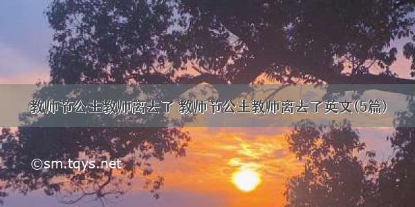 教师节公主教师离去了 教师节公主教师离去了英文(5篇)