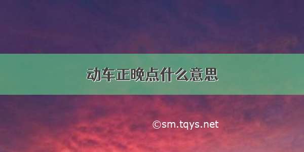 动车正晚点什么意思