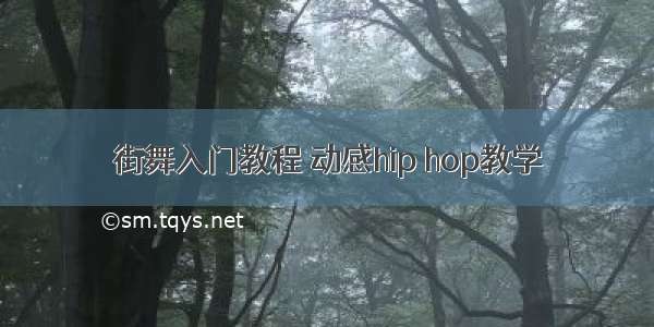 街舞入门教程 动感hip hop教学