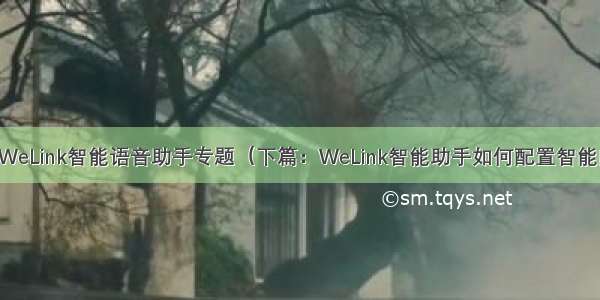 华为云WeLink智能语音助手专题（下篇：WeLink智能助手如何配置智能问答？）