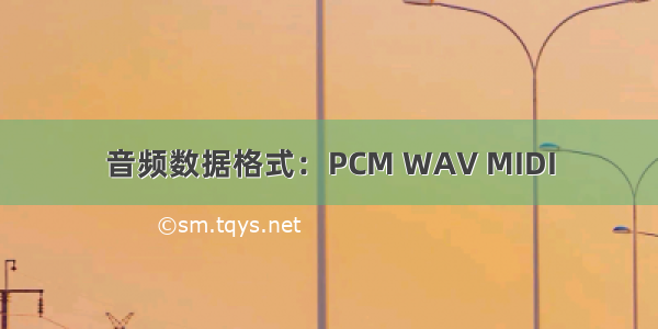 音频数据格式：PCM WAV MIDI