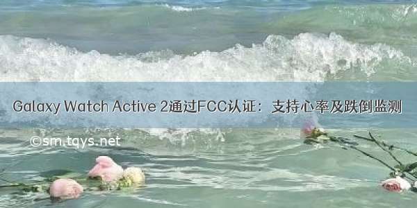 Galaxy Watch Active 2通过FCC认证：支持心率及跌倒监测