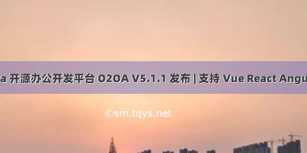 Java 开源办公开发平台 O2OA V5.1.1 发布 | 支持 Vue React Angular