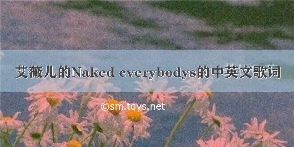 艾薇儿的Naked everybodys的中英文歌词