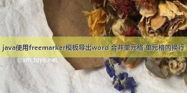 java使用freemarker模板导出word 合并单元格 单元格内换行