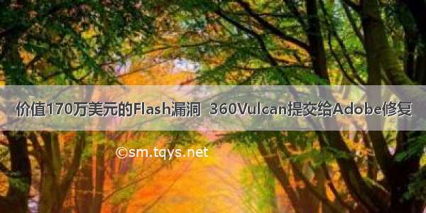 价值170万美元的Flash漏洞  360Vulcan提交给Adobe修复