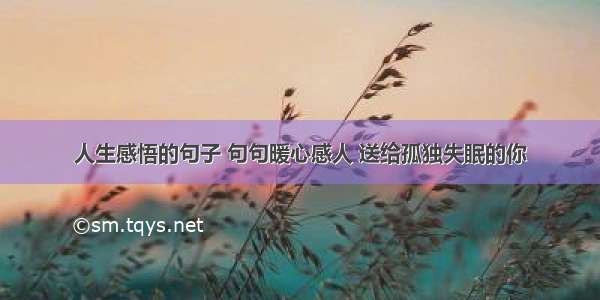 人生感悟的句子 句句暖心感人 送给孤独失眠的你