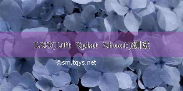 LSS(Lift  Splat  Shoot)测试