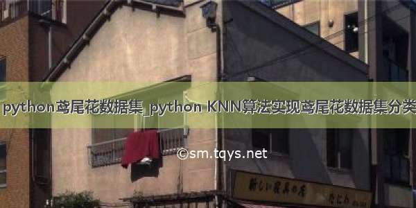 python鸢尾花数据集_python KNN算法实现鸢尾花数据集分类