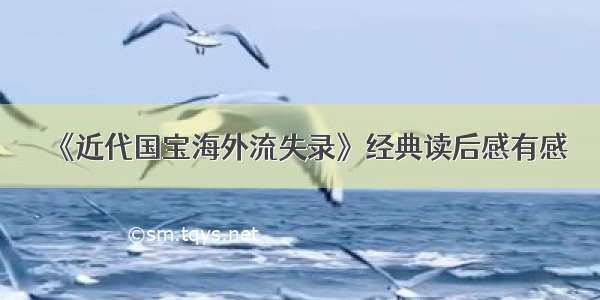 《近代国宝海外流失录》经典读后感有感