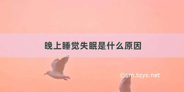 晚上睡觉失眠是什么原因