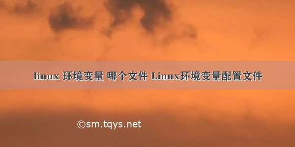 linux 环境变量 哪个文件 Linux环境变量配置文件